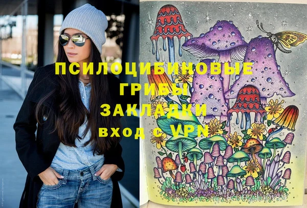 прущий лед Арсеньев