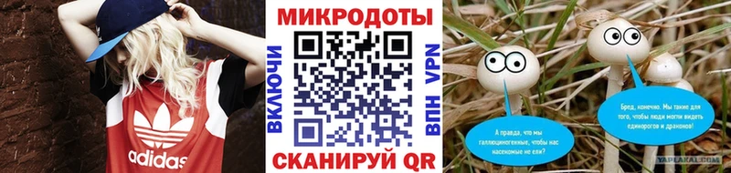 Галлюциногенные грибы мицелий Купить закладки Бирюсинск